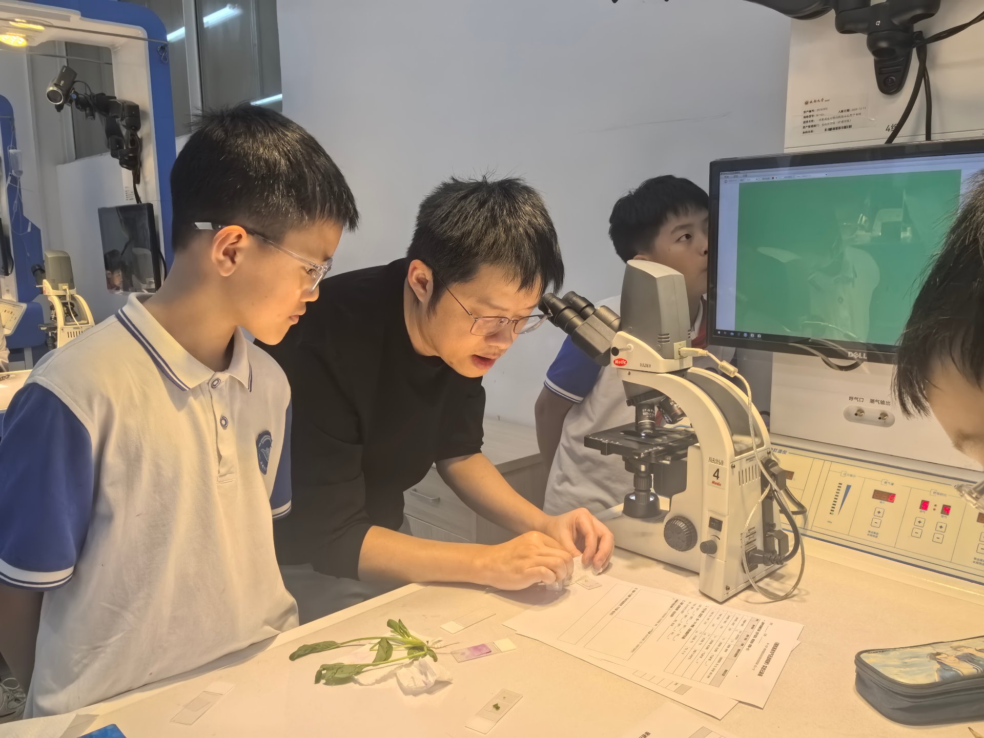 学生观察