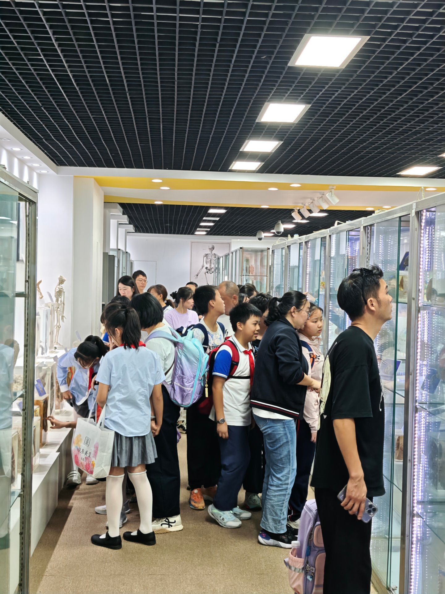 学生和家长在人体科普馆参观标本陈列